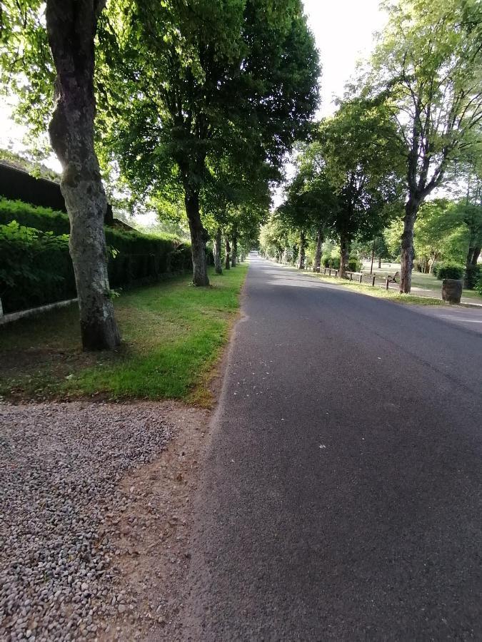 Le Domaine De Shania Provenchères-sur-Fave Esterno foto