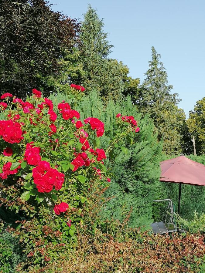 Le Domaine De Shania Provenchères-sur-Fave Esterno foto